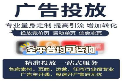 某品牌SEM广告投放效果全解析